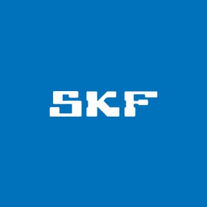 SKF Bearing